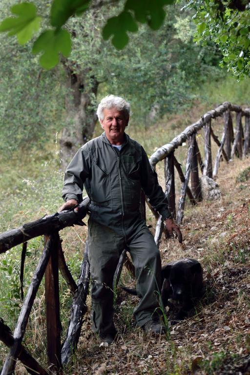 Agriturismo Torre Dei Preti Peschici Dış mekan fotoğraf